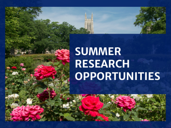 Summer Research Opportunities caption. Background is summer flowers in front of the Duke Chapel. 