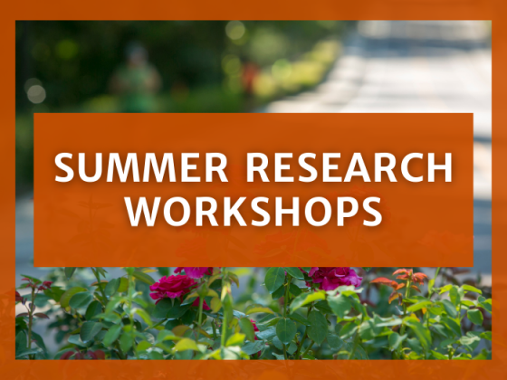 Summer Research Workshops