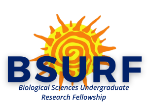 Logo of a sun with particle spikes and swirls on it, with the text: "BSURF: Biological Sciences Undergraduate Research Fellowship" 