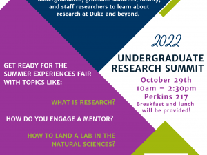 Undergraduate research summit flyer